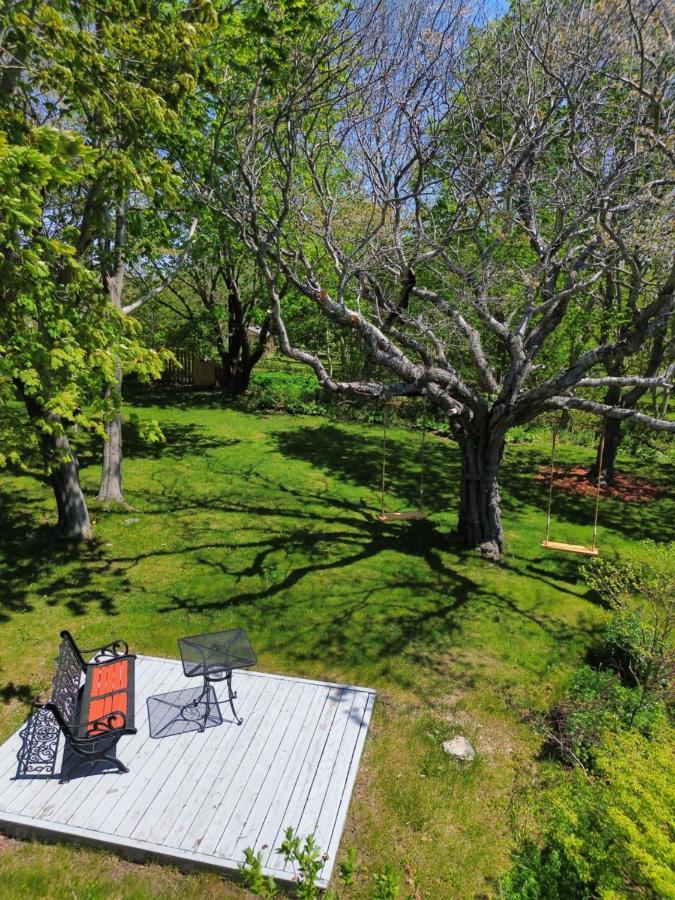 Belle View Manor Inn Harbour Grace Екстериор снимка